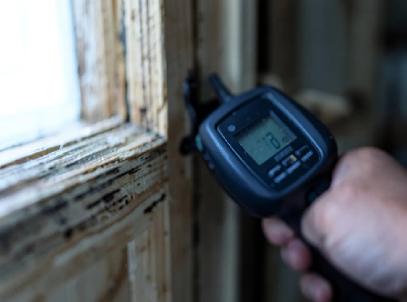 Moisture Inspection And Documentation in Coolidge, GA